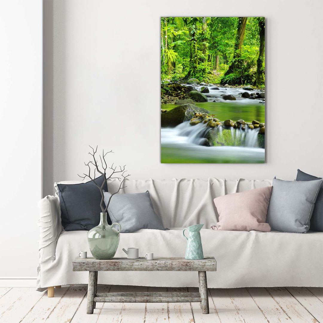 Mountain Stream - Kunstdrucke auf Leinwand