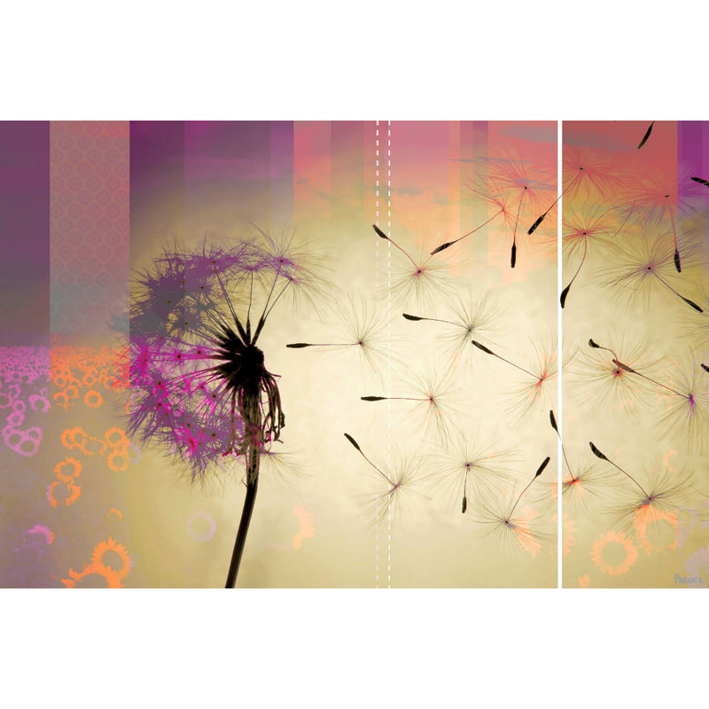 Parvez Taj - Wrapped Canvas Print, 76cm H x 114cm W