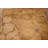 Gold Floral Abstract Area Rug 3x5