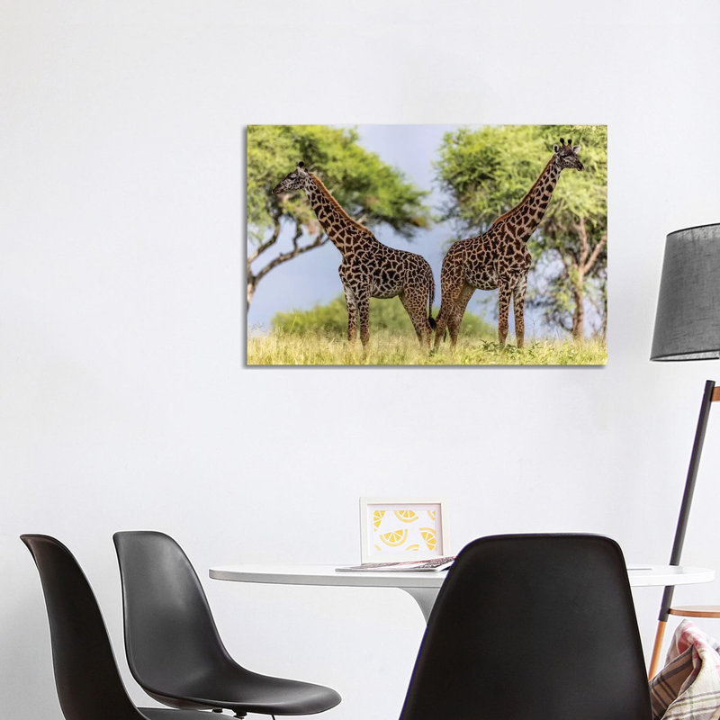 «Twins» par Anders Jorulf - Photographie sur toile tendue, H 26 po x l 40 po x 1,5 po