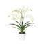 Polysilk Orchid Arrangement In Pot-2030385136-2030385137