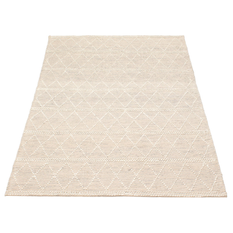 Demosthenes Performance Hand Braided Wool Rug