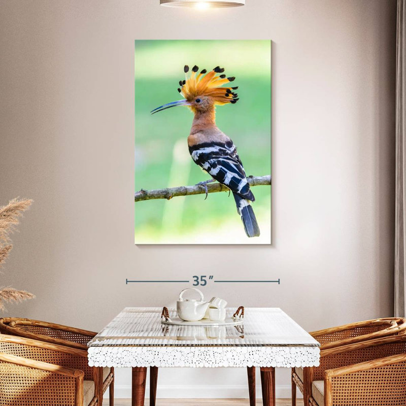 Brampt Common Hoopoe, 48" H x 32" W