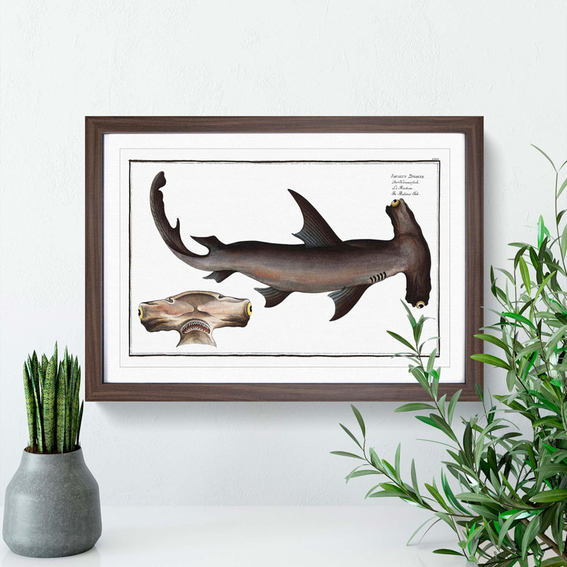 Hammerhead Shark by M.E. Bloch - Picture Frame Painting Print on MDF, Walnut Framed, 36cm H x 48cm W x 2cm D