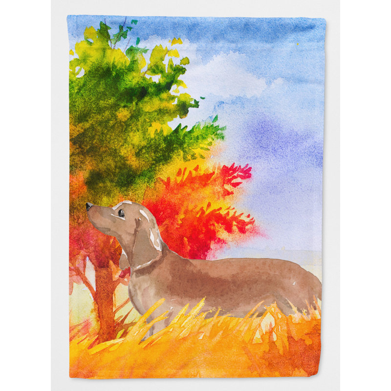 Fall 2-Sided Polyester 15 x 11.5 in. Garden Flag, Dachshund