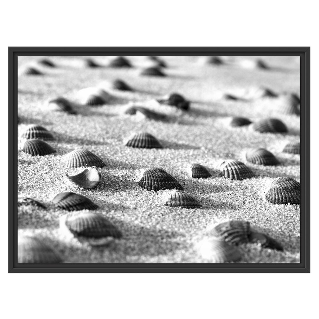 Gerahmtes Wandbild MuschelnSand Kunst B&W