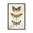 Classic Brown Wood Framed selected