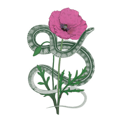 «Natural Beauty I Pink Flower» par Wild Apple Portfolio - peinture sur toile tendue