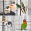 100.5cm Bird Cage