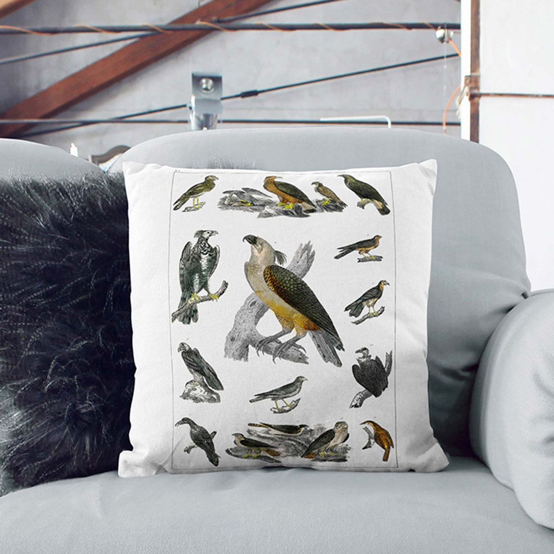 Birds of Prey XX by Oliver Goldsmith Cushion with Filling