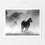 Equine Dust - No Frame Print