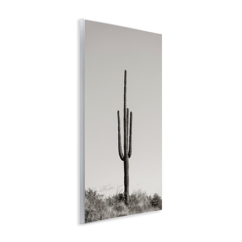  Art sur plaque de cactus transparent par Nathan Larson, H 19 po x l 13 po