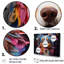 Chien, berger australien, impression sur toile-409514984-409514989
