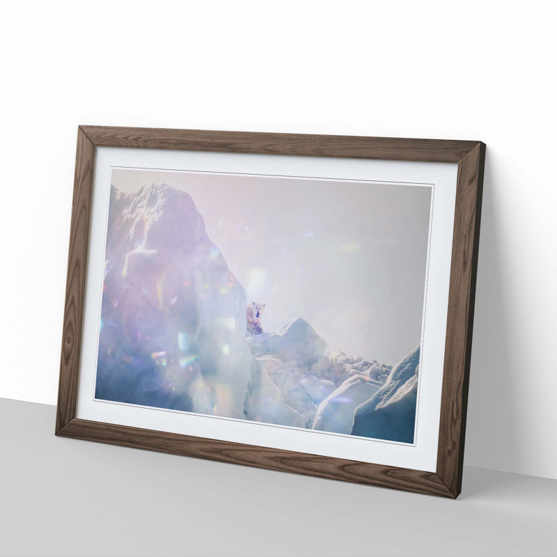 Polar Bear in the Wild - Picture Frame Photograph Print, Walnut Framed, 36cm H x 48cm W x 2cm D