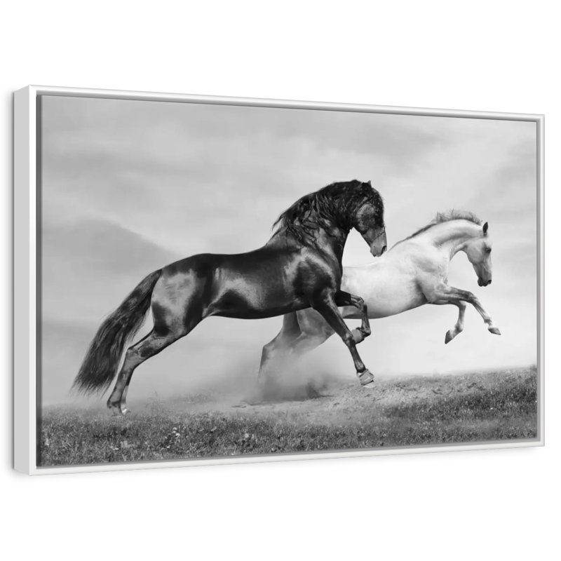 Sprint de chevaux arabes, Cadre flottant blanc, 43 po x 29 po