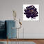 Pivoine noire - cadre photo-80845289-80845287