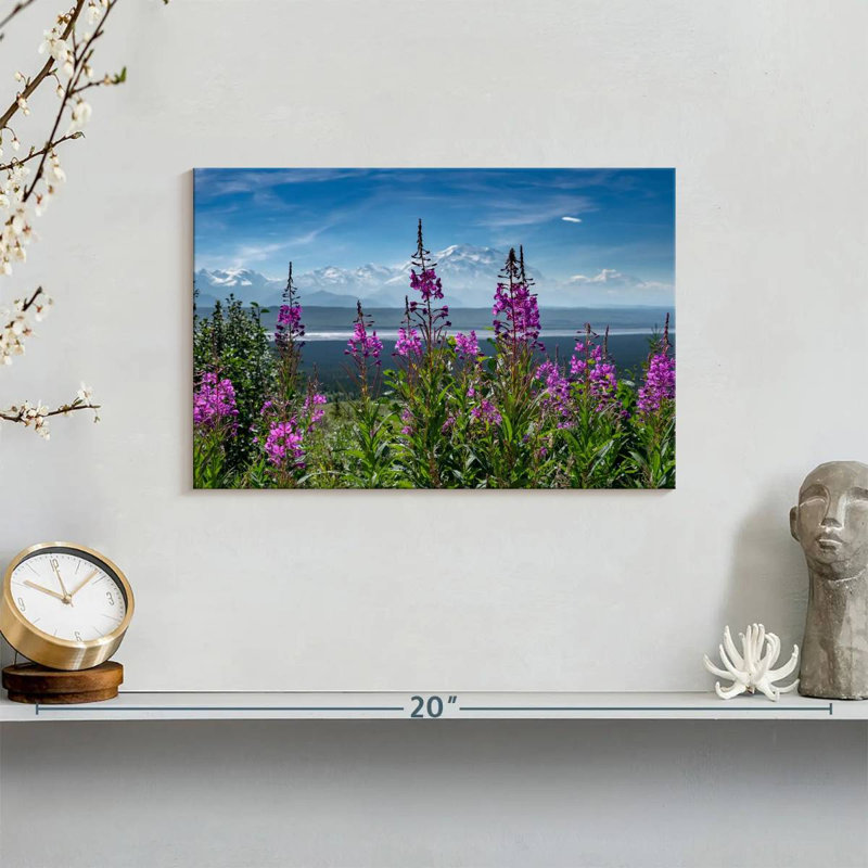 Denali Fireweeds