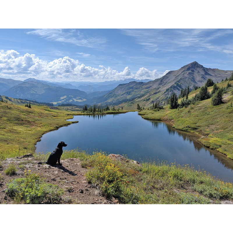 Art mural sur toile Mountain Lake Sentinel, H 16 po x l 24 po