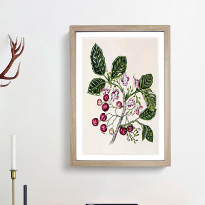 Puriri Vitex Lucens Flowers by Sarah Featon - Picture Frame Painting Print