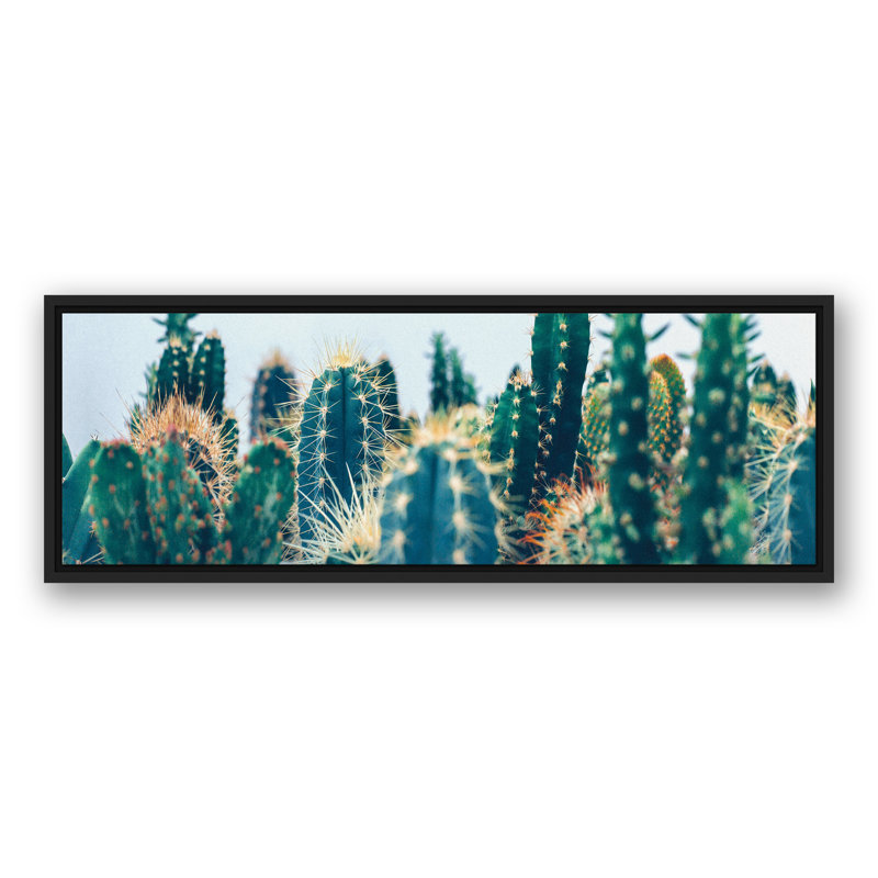 Jardin de cactus, H 13,75 po x l 35,75 po x P 1,75 po