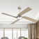 72" 4-Blade DC Motor Ceiling Fan with LED Light and Remote