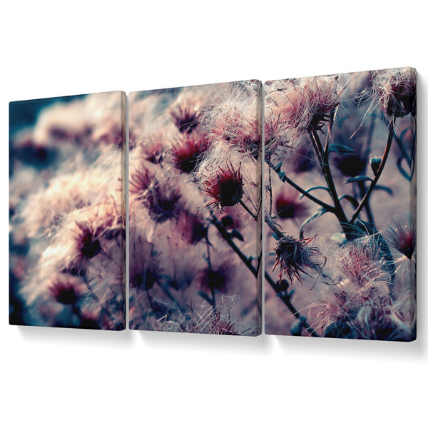 Ebern Designs Cotton Buds - 3 Piece Wrapped Canvas Print | Wayfair.co.uk