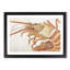 Lobster by Katsushika Hokusai - Picture Frame Painting Print-55580638-55580640