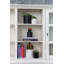 Jardinières en pot-13457239-13457238