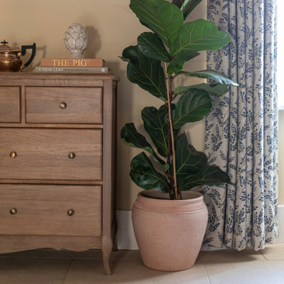 Rhea Terracotta Planter H29cm D27cm