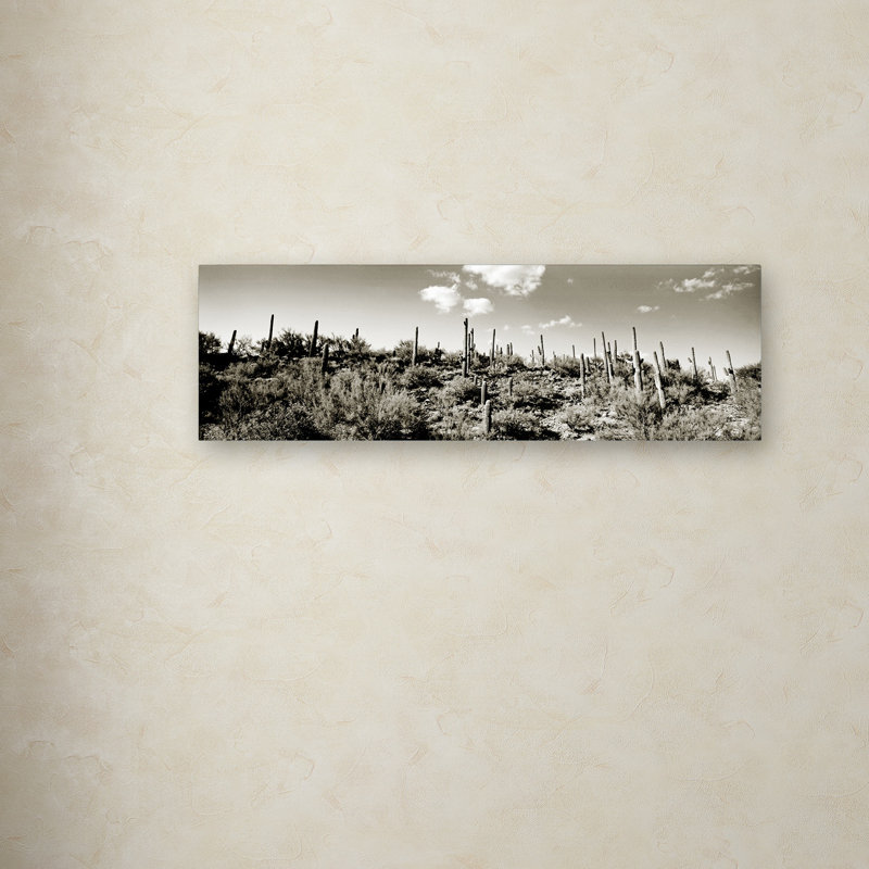 Sepia Desert Landscape Canvas Art with Wood Frame
