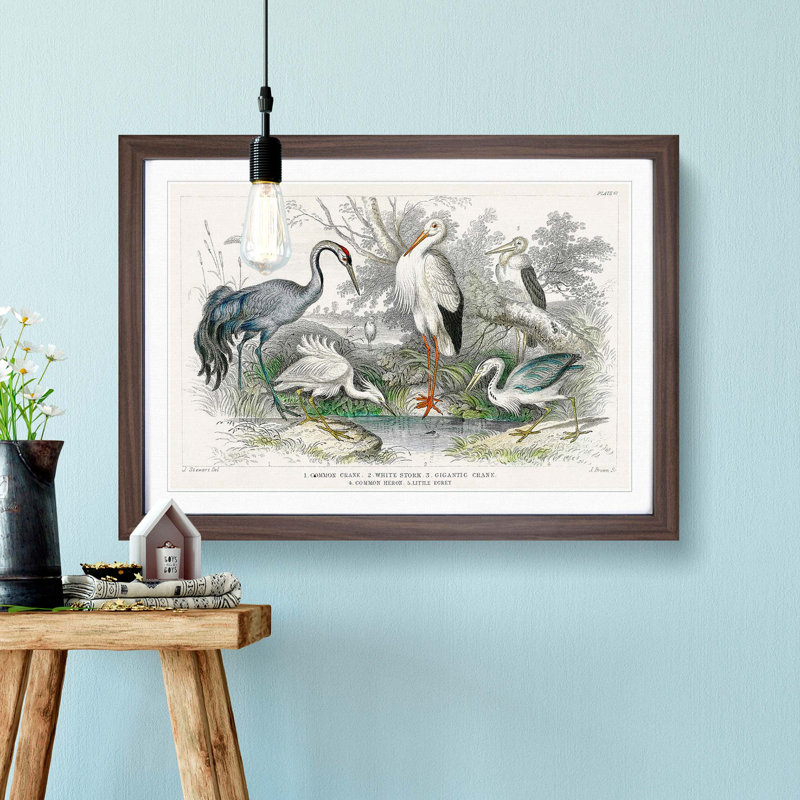 Crane, Stork, Egret & Heron by Oliver Goldsmith - Picture Frame Painting Print on MDF, 27cm H x 36cm W x 2cm D, Walnut Framed