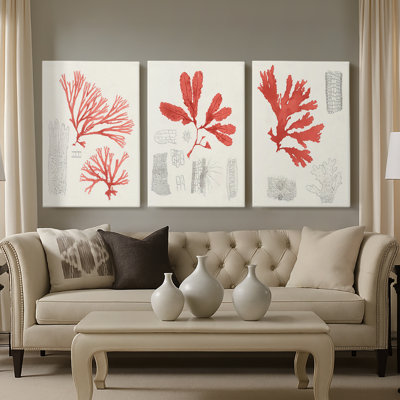 Vintage Coral Study I  -Custom Wrapped Gallery Canvas - 3 Pieces