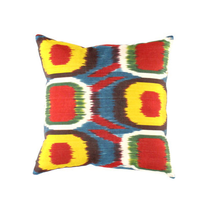 Indoor/Outdoor Pillow Cover and Insert