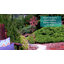Statue de jardin en acier Amrhein