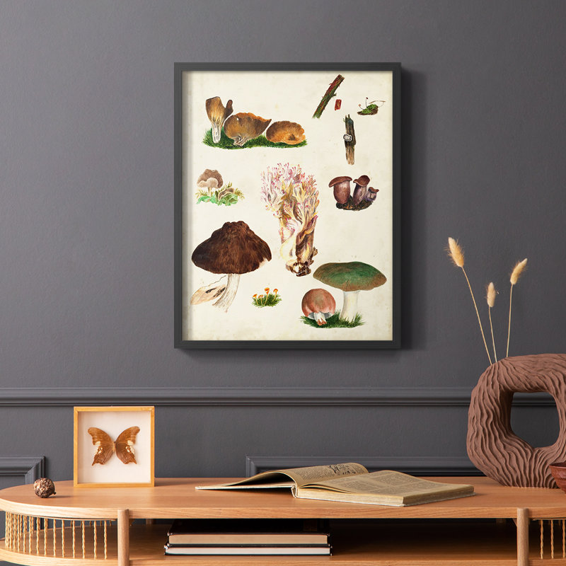 Reproduction encadrée Mushroom Species IX - bois massif, Noir, H 14 po x l 11 po
