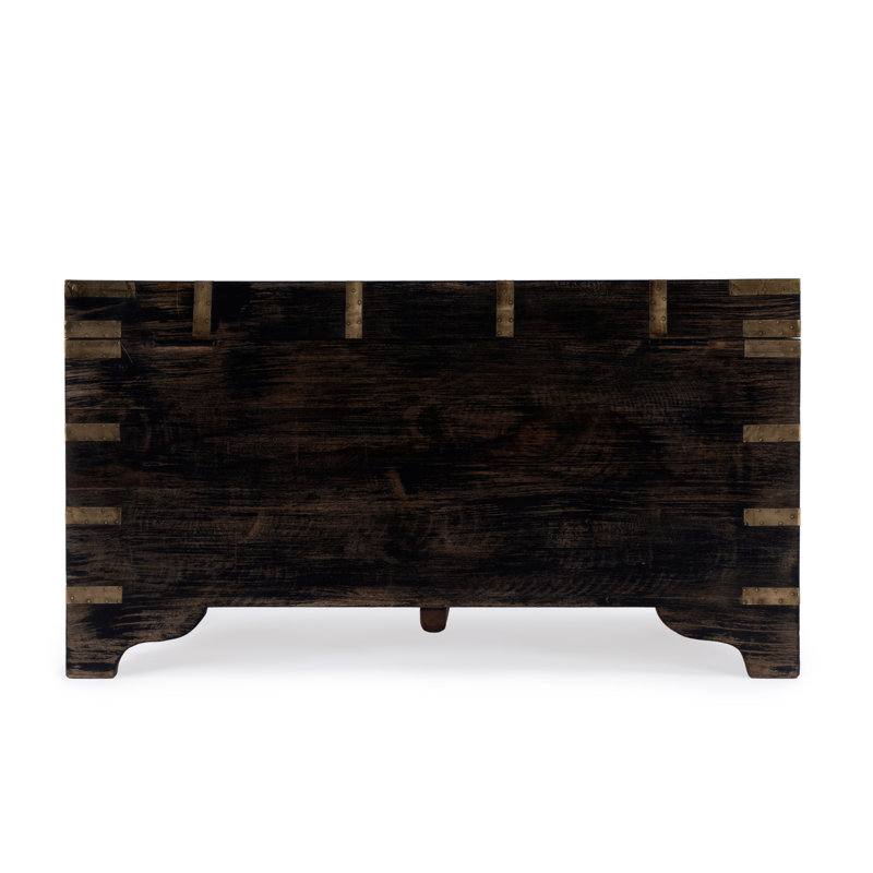Nador Hand-Painted Brass Inlay Storage Trunk Coffee Table, Brown/Gold
