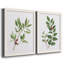 «Winter Botanical I», ensemble de 2 reproductions d'art-521697219-521697231-521697265