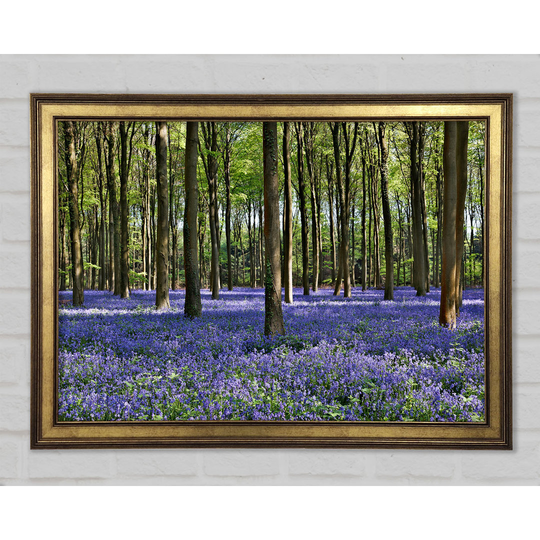 Schöne lila Blumen im Wald - Druck