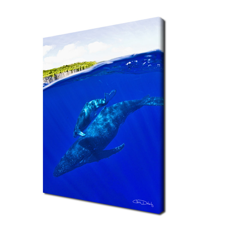 Reproduction d’art sur toile baleines