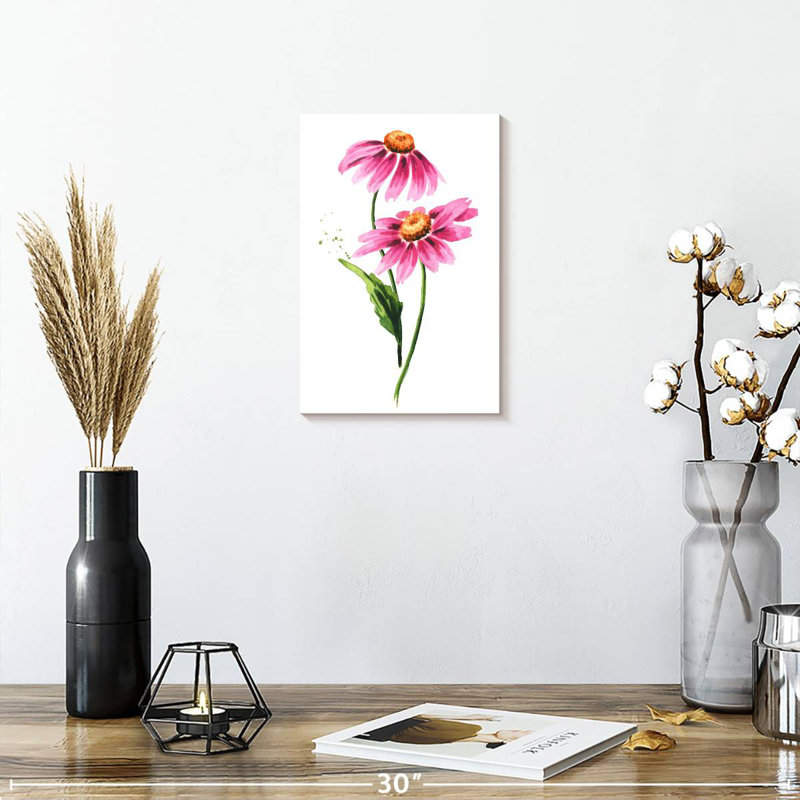 Fleurs d'échinacée, H 12 po x l 8 po