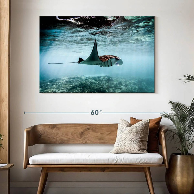 Aletra Manta Ray au-dessus des récifs coralliens de Bali, H 32 po x l 48 po