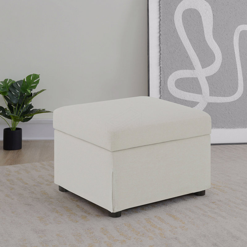 Repose-pieds avec rangement relevable