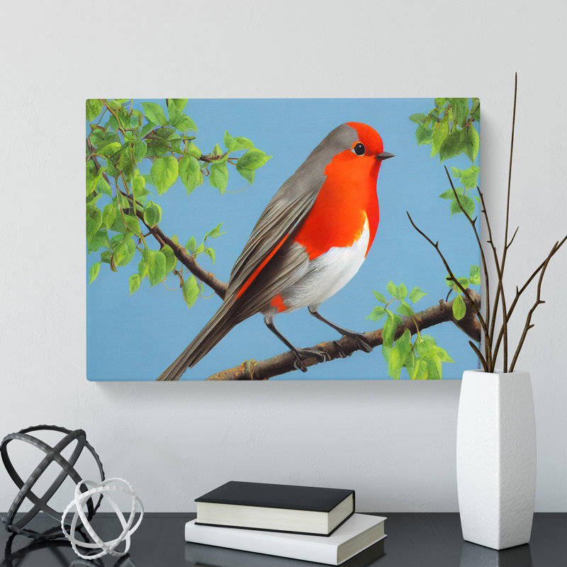 Superb Robin Bird - Wrapped Canvas