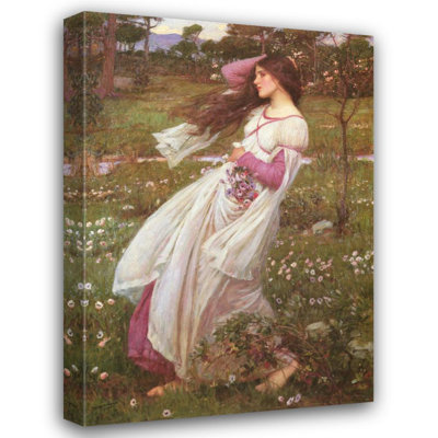Windflowers