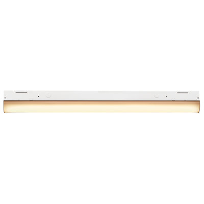 Dimmable Strip Ceiling Light
