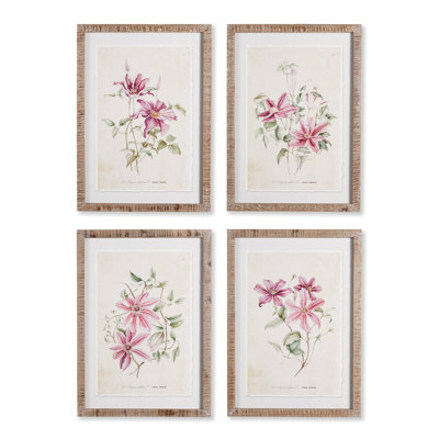 'Clematis' - 4 Piece Picture Frame Painting Print Set on Paper