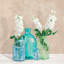 Floral Setting With Glass Vases II by Jenny Thomlinson - Wrapped Canvas Print-1471322901