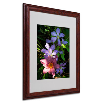 «Clematis and Lily» par Kurt Shaffer, reproduction de photo encadrée