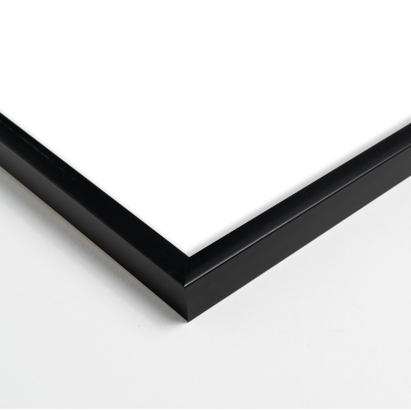 Joelle " Flora 2 " by Lee Lessem, Black Framed, 50" H x 40" W x 1.25" D