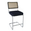 Tabouret de bar / tabouret de bar en acier inoxydable avec dossier en rotin - ensemble de 2-35622322